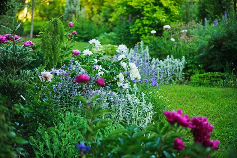 5 ÉTAPES POUR AMÉNAGER UN JARDIN ANGLAIS - JardinPaysager.fr